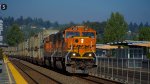 BNSF 293 Leads the EVEROO